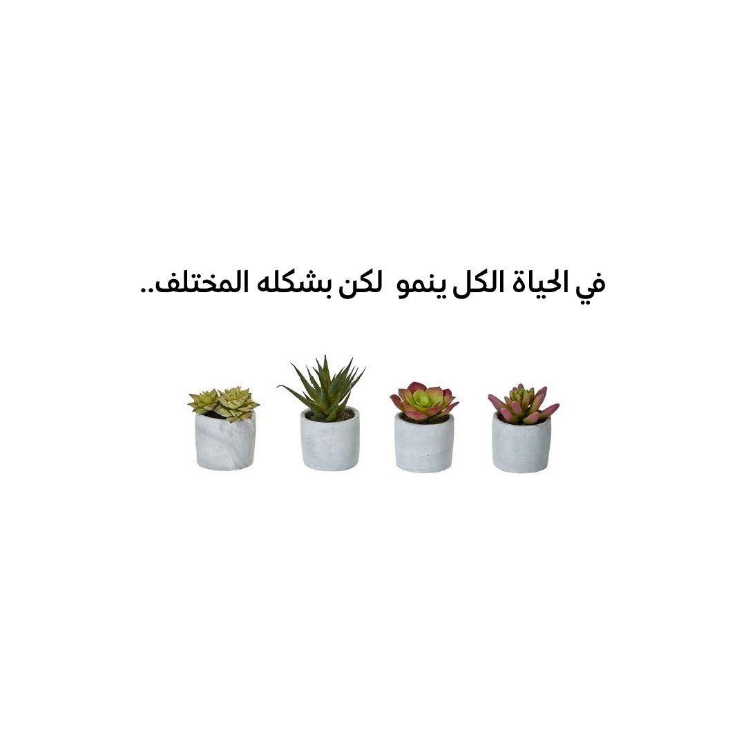 unsarra's tweet photo. أشكال النمو كثيرة.. "وحدها هي الأسباب من تجعلنا ننمو بطريقة مختلفة" https://t.co/e8VmcCYTBF