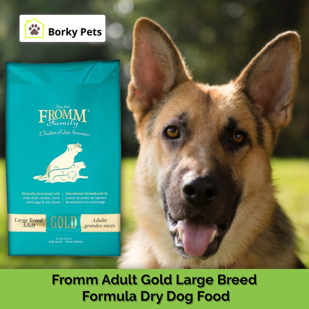 borkypets's tweet photo. Fromm Adult Dog Food is a nutritionally balanced food with natural ingredients for large-breed dogs. Fromm is made with a delicious combination of fresh Wisconsin duck, chicken, lamb, etc👉 https://t.co/eOTk9UXEbu https://t.co/k31L5HRFBX