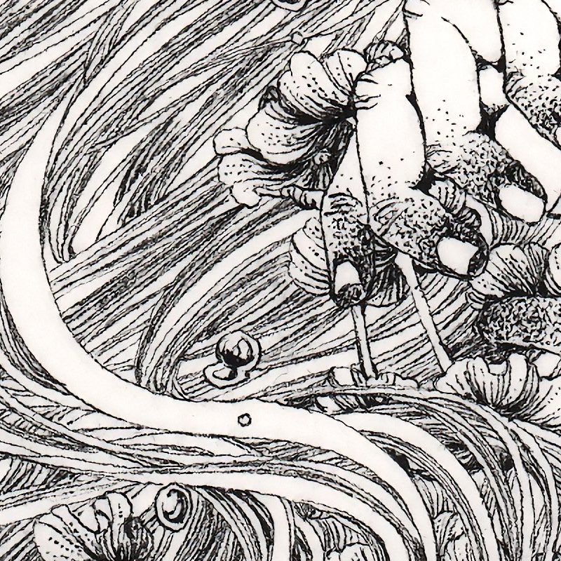 沈溺 / drown
100x150mm / pen, sumi,paper
12212022

物理的に水に浸かるのも恐ろしいですし、精神的に何かに深く沈み溺れるのも恐ろしいと思っています。

#ペン画 #丸ペン #怖れ #art #illustration #drawing #penandink 
