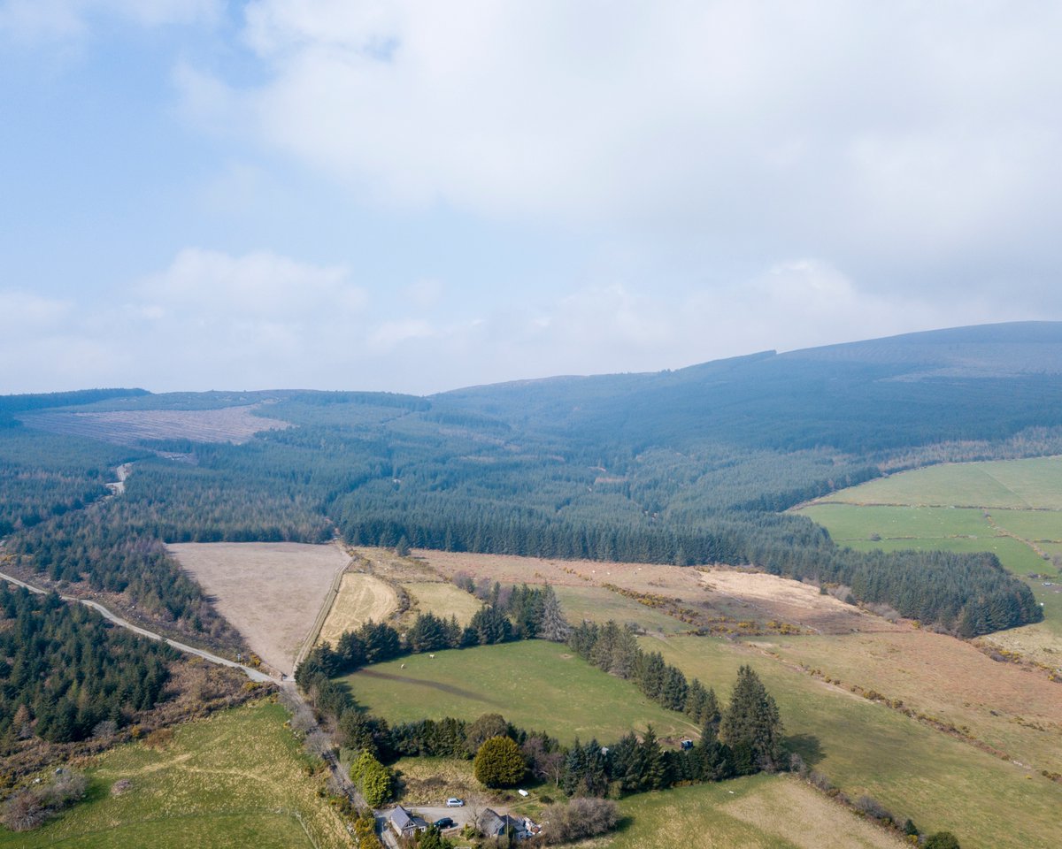 WWolfBrewery's tweet photo. Our Hop Farm in the Wicklow Mountains has been lying dormant over the Winter but will soon be awoken, where all hands will be on deck to re-string the hop bines for this years hop harvest.

#IndependentByNature #TheLocavoreProject https://t.co/B5u4Xcf2uL