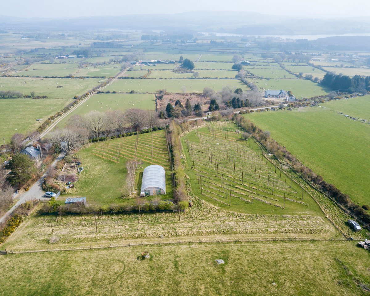 WWolfBrewery's tweet photo. Our Hop Farm in the Wicklow Mountains has been lying dormant over the Winter but will soon be awoken, where all hands will be on deck to re-string the hop bines for this years hop harvest.

#IndependentByNature #TheLocavoreProject https://t.co/B5u4Xcf2uL