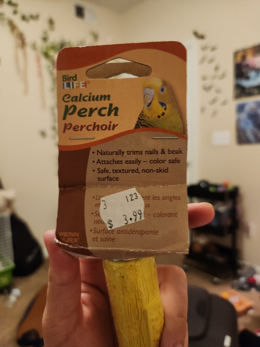 John and Ollie the Budgies tweet media