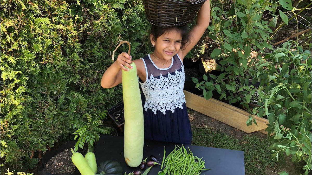 AllForGardening's tweet photo. అమెరికాలో మన కూరగాయలు || ...
#BackyardGardenDesign #BackyardVegetableGarden #GardenIdeas #GardenLayoutIdeas
https://t.co/nkJcV0O4R8 https://t.co/IyBE985ZrS