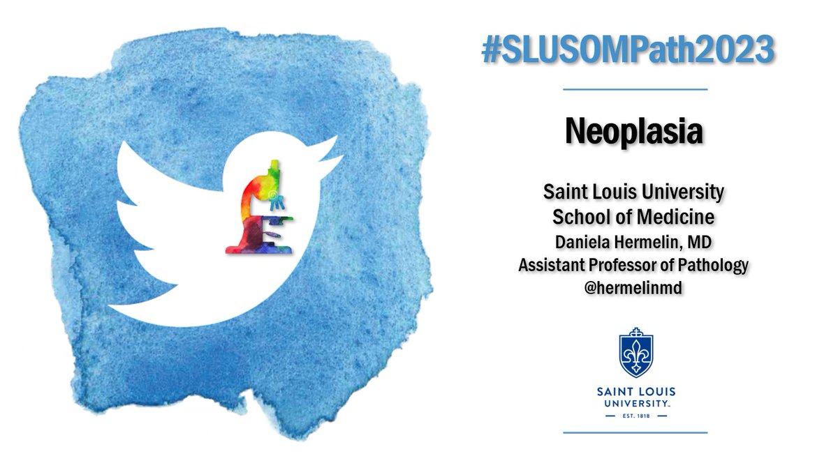 HermelinMD's tweet photo. #SLUSOMPath2023.
Week 2 we covered topics of Neoplasia and Diseases of the Environment and Nutrition.  

Let's take a few minutes to review the material and study for the exam.

Follow the #Tweetorial below. https://t.co/1988NKkCzT