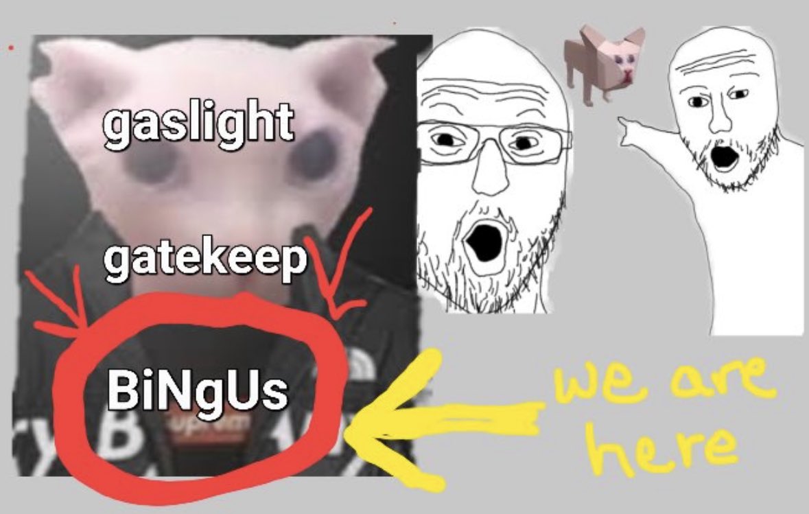 Bingus Gaming (@bingusgamingow) on Twitter photo 