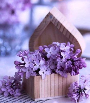 xxwanj's tweet photo. اللهم بك اصبحنا وبك امسينا وبك نحيا وبك نموت وإليك النشور 🌸🌸 https://t.co/4TBkZVEjaG