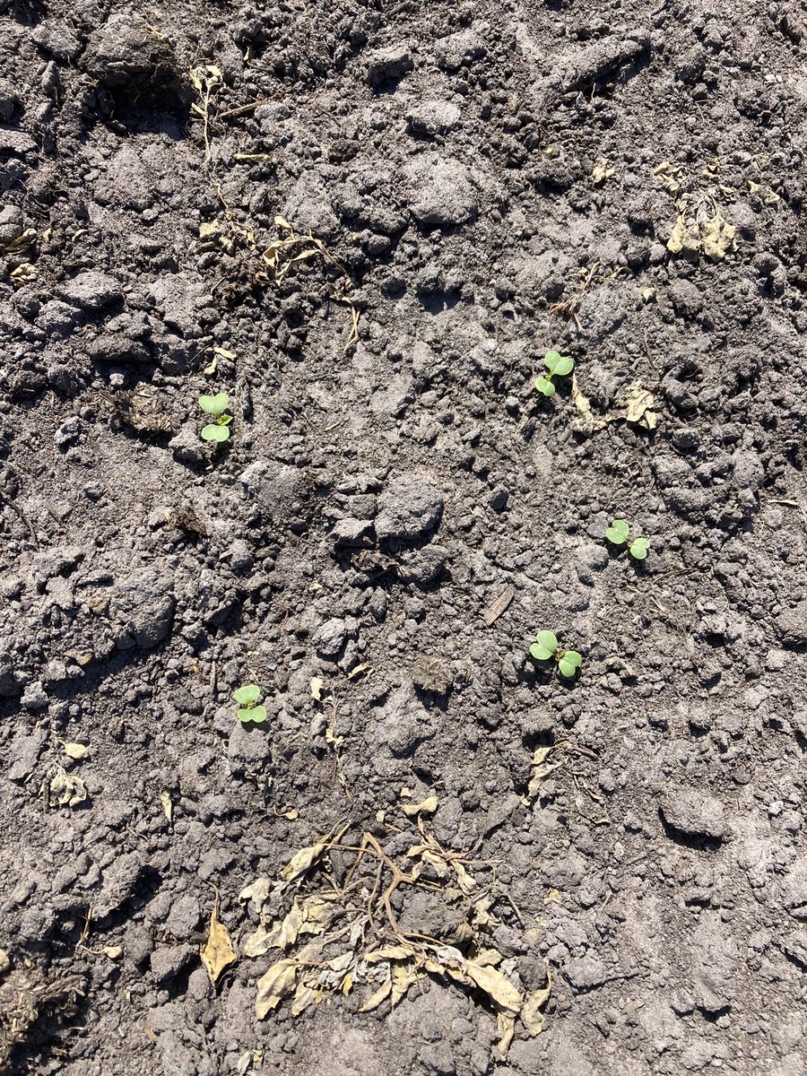 Phil White tweet media