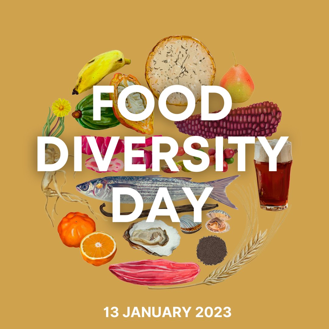 SusFoodTrust's tweet photo. Tomorrow marks #FoodDiversityDay, a new initiative inspired by @DanSaladinoUK's book, Eating to Extinction.

With online talks throughout the day, celebrate Britain's neglected foods and feel inspired to get more food diversity onto your plate!

https://t.co/1yx5LnPZj9 https://t.co/r0mH4XgD97