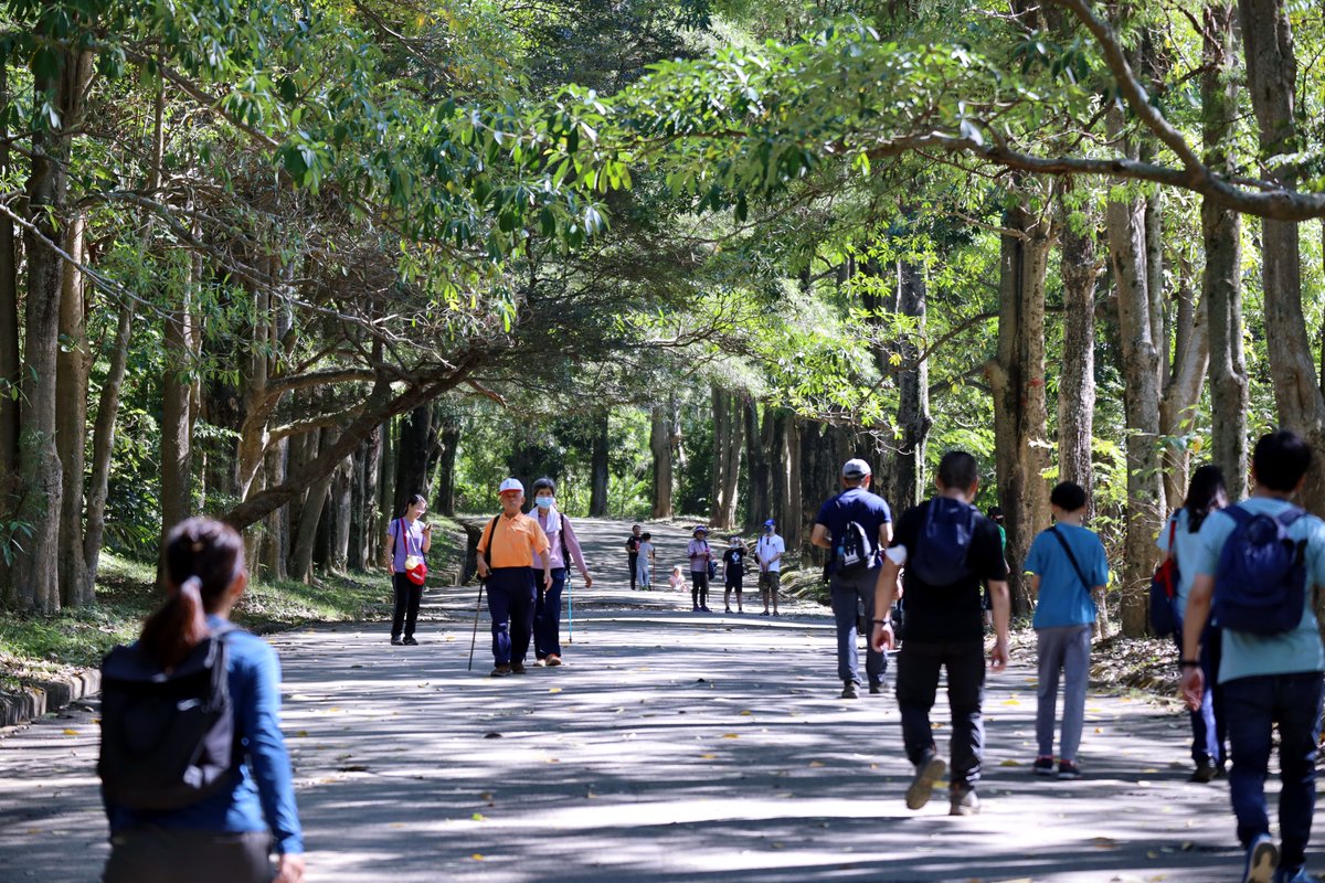 Let every step of our #hiking this year turn into the beauty of life!
#wandern #randonnée #escursionismo #senderismo

📣Dear followers, this account will be merged into  
<a href="/taichungtravels/">大玩台中 - 台中観光旅遊局🇹🇼</a>
 from March. Follow that to discover latest events and attractions in Taichung city, Taiwan.