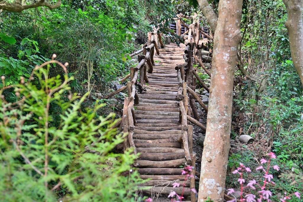 AndTaichung's tweet photo. Let every step of our #hiking this year turn into the beauty of life!
#wandern #randonnée #escursionismo #senderismo

📣Dear followers, this account will be merged into  
@taichungtravels
 from March. Follow that to discover latest events and attractions in Taichung city, Taiwan. https://t.co/dwwnYlGwoJ