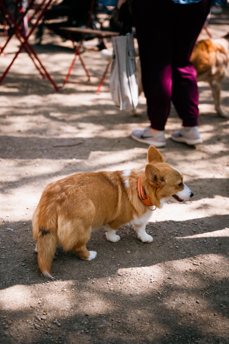 The market wouldn’t be the same without our furry friends strolling along. Bring YOUR dog too and enjoy our stalls together! We’re waiting for you.

#wappingdocklandsmarket #furryfriends #dogmarkets #londondogs #londonmarkets