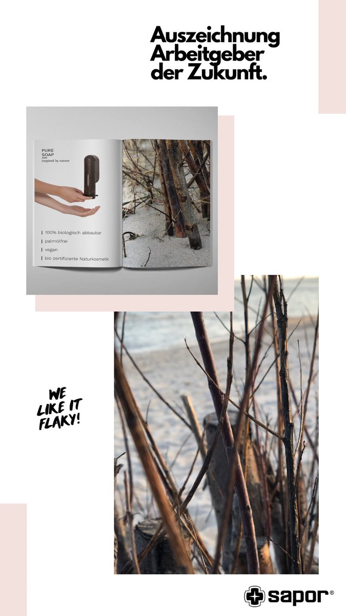 SAPOR ist vom Deutschen Innovationsinstitut für Nachhaltigkeit und Digitalisierung #DIND als ARBEITGEBER DER ZUKUNFT ausgezeichnet worden! 
#welikeitflaky #zerowaste #greenwashroomforfuture 
#trockenseifenspender #sustainability #CircularEconomy