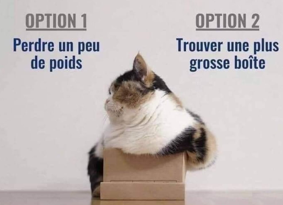 BigJakeBlues's tweet image. #resolution2023 🤪😎🐱