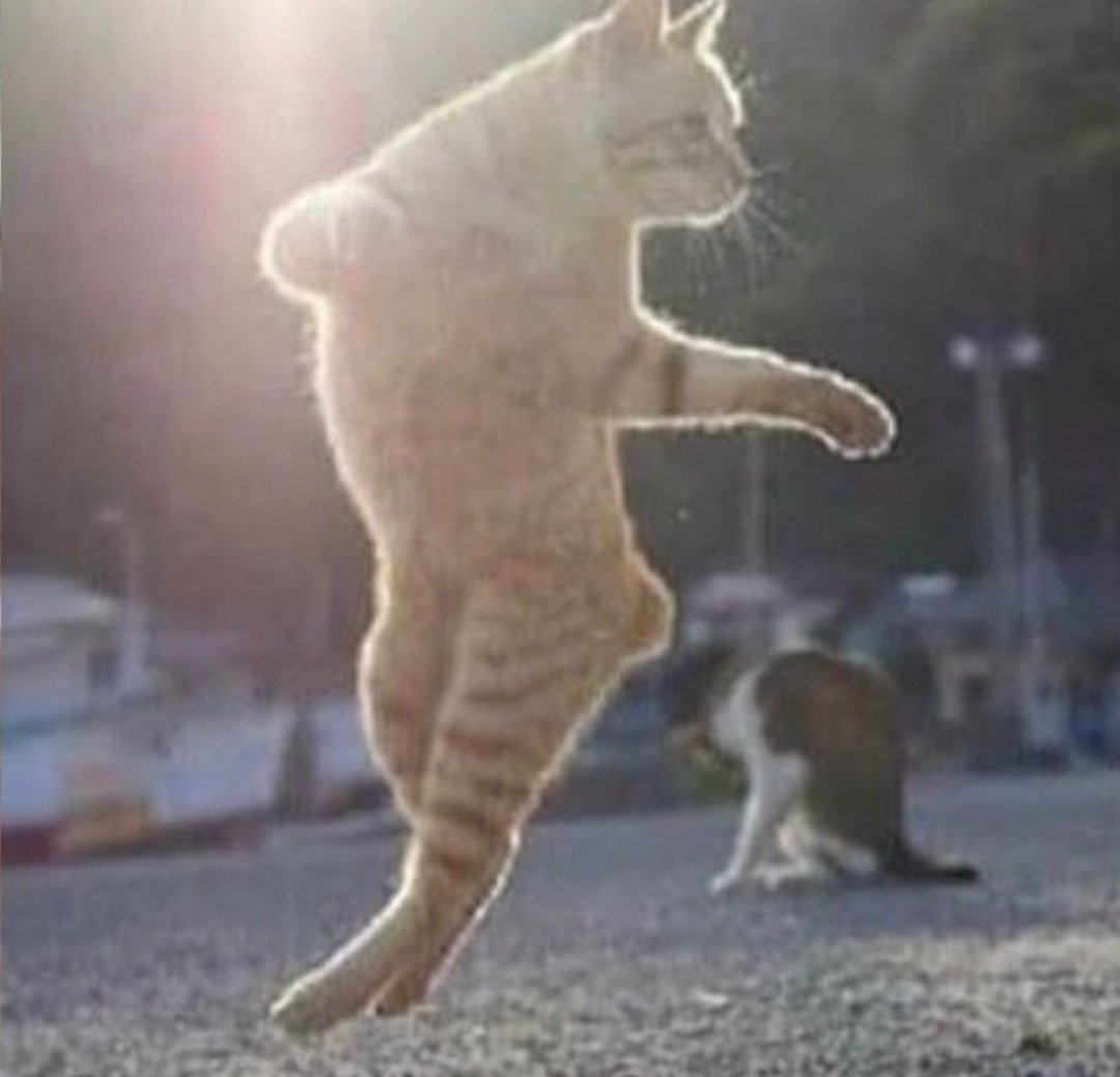 CantonasCoIIar's tweet image. Luke Shaw cross     Weghorst header