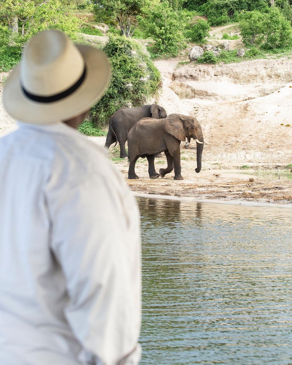Uyapo Ketogetswe (@nde_uyapo) on Twitter photo #ChobeNationalPark is known for its spectacular elephant population of 45000+ ellies.
A <a href="/desertdelta/">Desert & Delta Safaris</a> water-based safari on one of <a href="/chobegamelodge/">Chobe Game Lodge</a>’s solar-powered boats is a must if you’d like to see them from a different perspective. #desertdelta #chobegamelodge #thisischobe #ChobeNationalPark is known for its spectacular elephant population of 45000+ ellies.
A <a href="/desertdelta/">Desert & Delta Safaris</a> water-based safari on one of <a href="/chobegamelodge/">Chobe Game Lodge</a>’s solar-powered boats is a must if you’d like to see them from a different perspective. #desertdelta #chobegamelodge #thisischobe