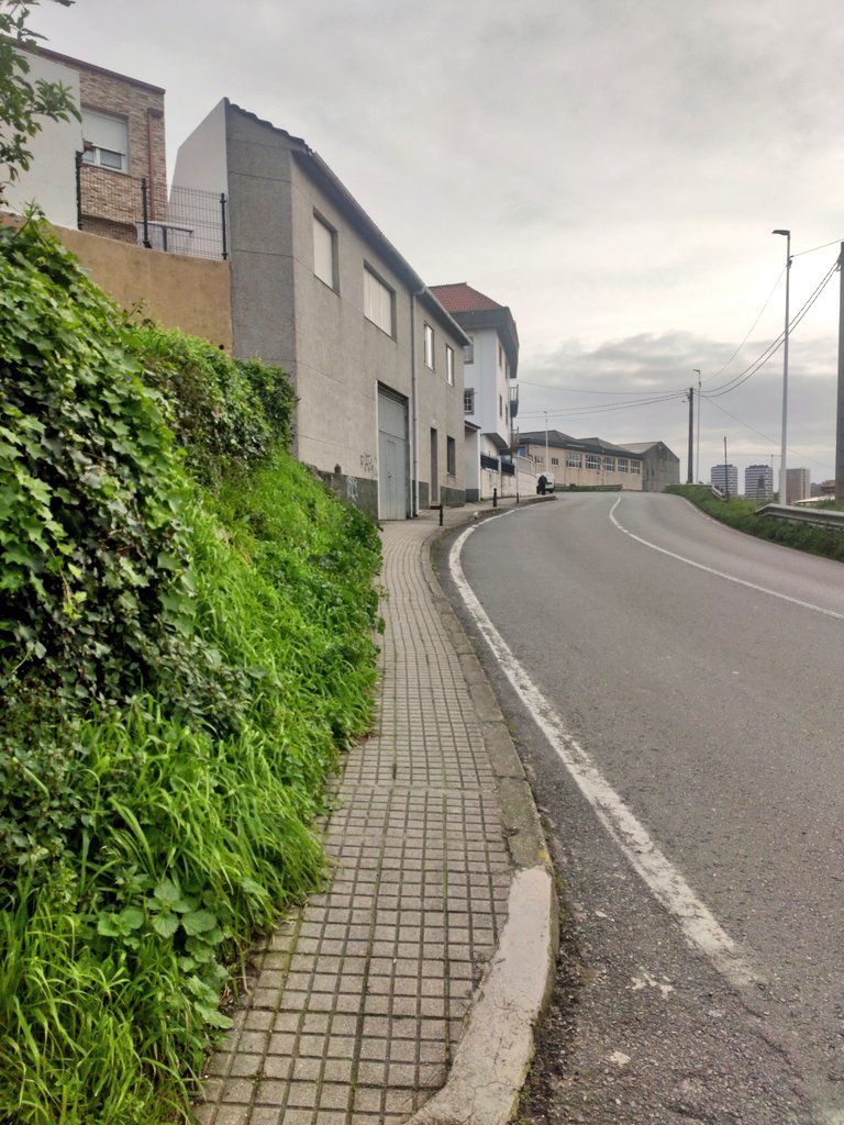 avmontemartelo's tweet photo. Hola @ConcelloCoruna @Depucoruna @dinisss 

Tener una sola acera, con desniveles, en un solo sentido y con este ancho... ¿cumple la normativa?

Necesitamos una DP-0512 segura y con aceras reglamentarias. El carril único + carril bici desde Pocomaco hasta O Birloque es necesario. https://t.co/A3U4YpAF6U
