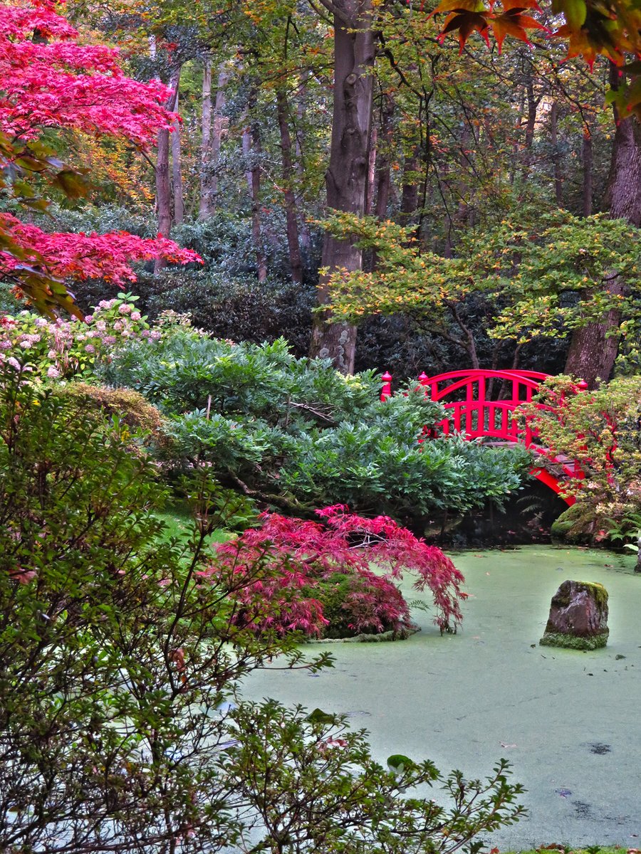 Japanse tuin, Nederland #2021 #najaar #japan #wandelen