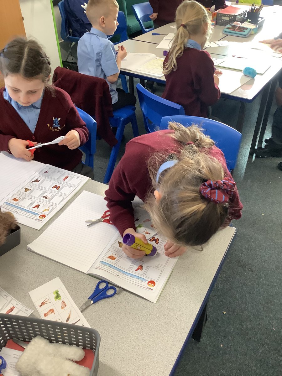 St_Andrew_Apost's tweet photo. Our science topic of animals & humans has begun. #successfulsata #satascience https://t.co/NQnH3bogvM