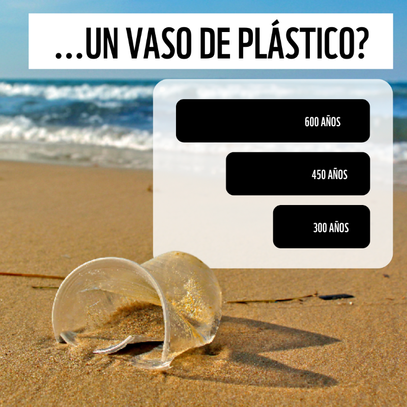 WWFespana's tweet photo. ¿Cuánto tarda en biodegradarse...