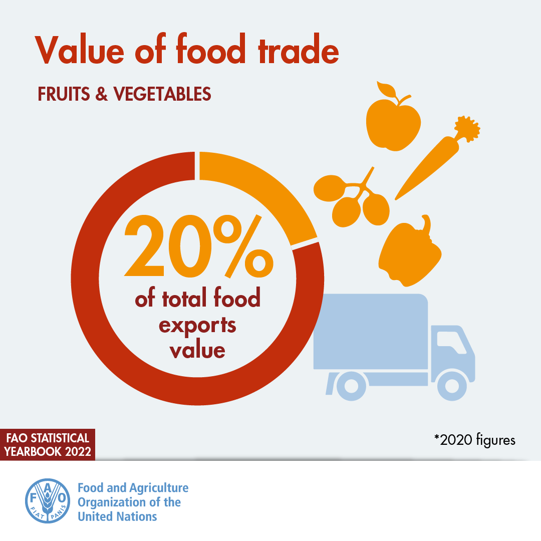 FAO Statistics (@faostatistics) on Twitter photo 🆕 <a href="/FAO/">Food and Agriculture Organization</a>’s Statistical Yearbook for 2022 is now available❗️
#DYK that fruits & vegetable comprise 2⃣0⃣% of total food exports value❓
Learn this & much more in the FAO Statistical Yearbook👇
🍇🍎🍑🥦🍆🥕
#StatisticsTwitter
📕fao.org/documents/card… 🆕 <a href="/FAO/">Food and Agriculture Organization</a>’s Statistical Yearbook for 2022 is now available❗️
#DYK that fruits & vegetable comprise 2⃣0⃣% of total food exports value❓
Learn this & much more in the FAO Statistical Yearbook👇
🍇🍎🍑🥦🍆🥕
#StatisticsTwitter
📕fao.org/documents/card…