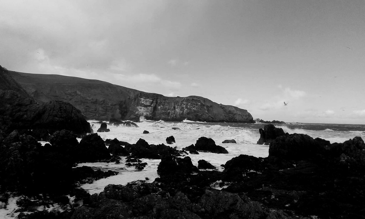Words_by_B's tweet photo. He was fragments

A million jagged shards
of a broken dream

A life in freefall
from a hopeless #history 

I would have saved him from sinking 
beneath his sea of pain
if only he’d reached out for a lifeline 

I would’ve rescued him
If only he’d asked me to.

#vss365 https://t.co/2kr3TI5yo2