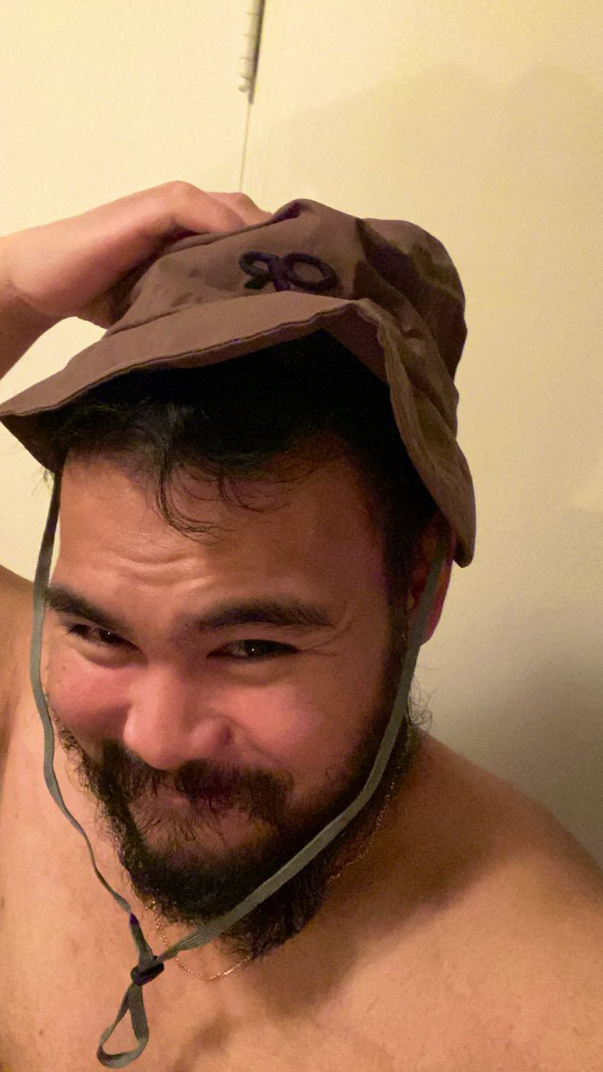 On Twitter being A Silly Goose on-twitter-being-a-silly-goose