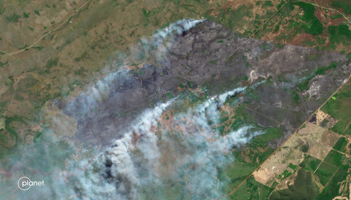 planet's tweet photo. Wildfires are impacting the largest wetlands in the world. 🌎
But, this #ScienceWednesday, read how scientists are using PlanetScope and deep learning to map these fires and protect this amazing region of South America: https://t.co/gPqnZzZ4s0 https://t.co/afZHuJ1PaW