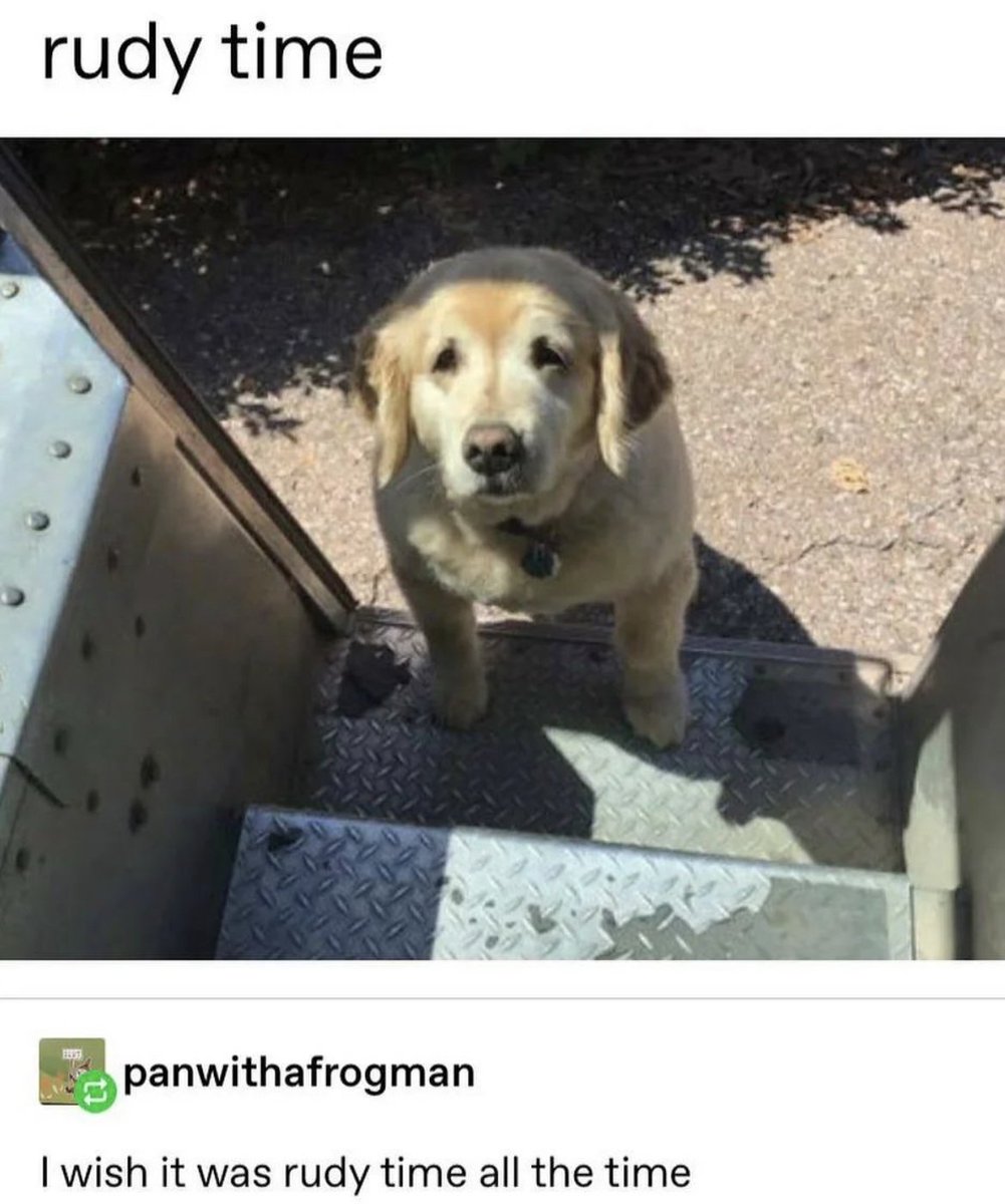 WholesomeMemes (@wholesomememe) on Twitter photo 