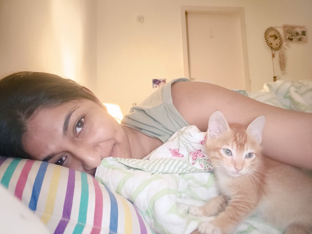 nive_cr's tweet photo. "I can foster a kitty. I won't get attached"

The kitty &amp; me on the first day : https://t.co/8NqXWn8Ebr