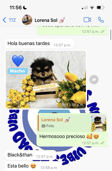 Como empez&oacute; / como vamos https://t.co/3bccrfBGvA https://t.co/vSmHrgjBwU