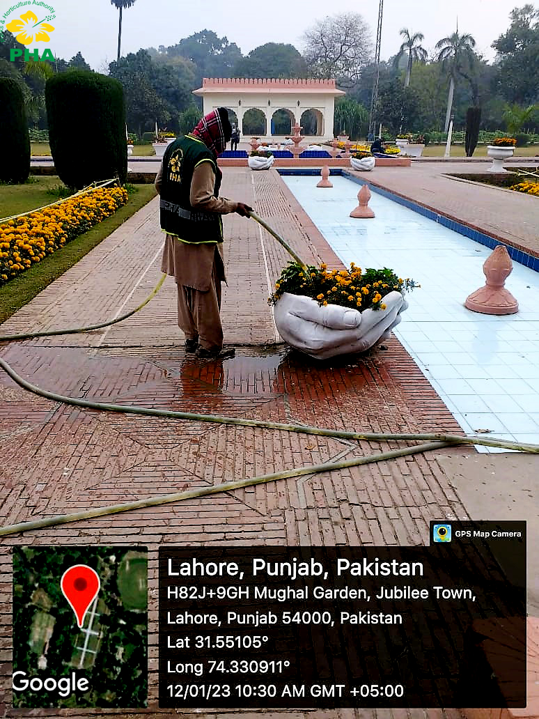 PhaLhr's tweet photo. فضائی آلودگی اور سموگ کے خاتمہ کے لیے پی ایچ اے کی واٹر ٹینک گاڑی اور مالی سبزہ زار , باغ جناح پارک ، گلشن راوی اور نور امین روڈ کے مختلف علاقوں کی گرین بیلٹس ، درختوں اور پودوں کو واش کررہی ہے۔
#Treewashing
#Antismog
#Lahore https://t.co/SSlIYvTF8R