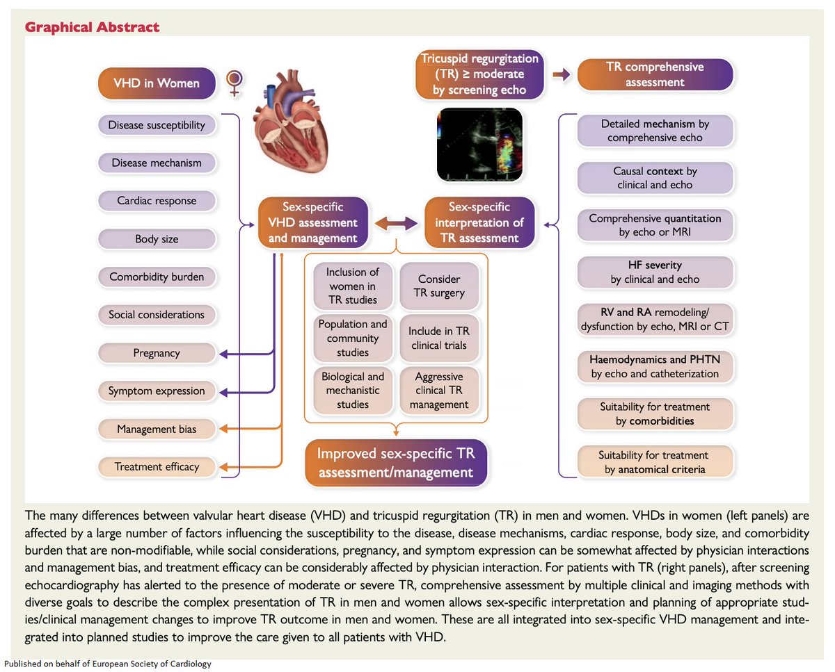 Matters of the Heart 🫀 on Twitter: