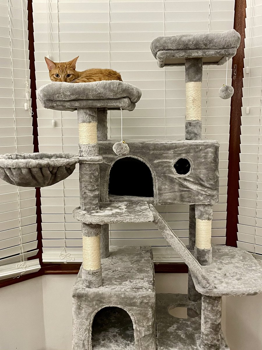 emerson 🇪🇺 🌈 tweet media