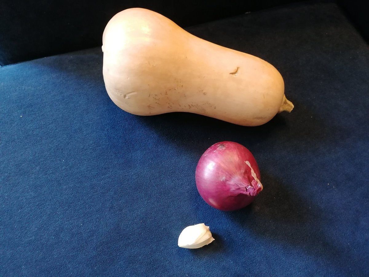 Soepie Doen, vanmiddag van 12 - 2 uur voor €1,50 maken wijkbewoners een Oekraiense soep en vega pompoensoep in het wijkcentrum #willemskwartier #nijmegen