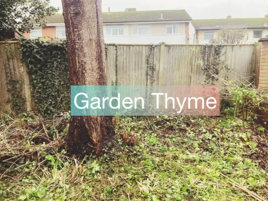 Garden Thyme Ltd tweet media