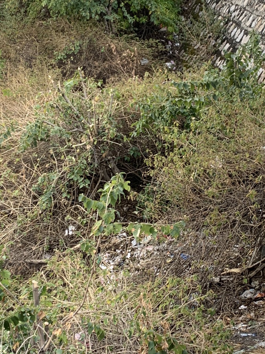 umayrsahlan's tweet image. Margalla Hills National Park #MHNP , people littering should be fined. There’s no other way to curb the trash. @DGCMCDA @CDAthecapital @WildlifeBoard @CaptainUsman @dcislamabad @rinasaeed #Islamabad