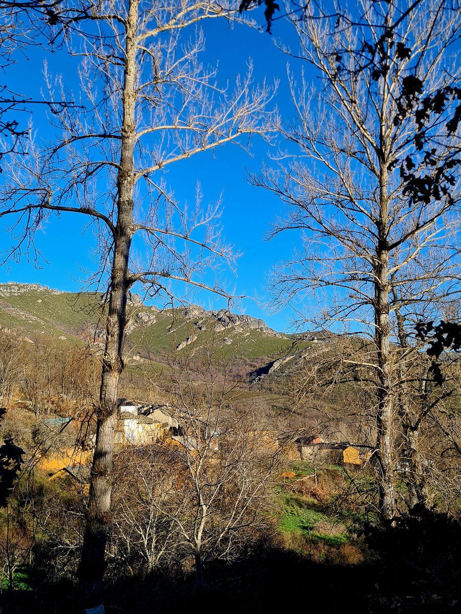 J. SANTIAGO🦁 tweet media