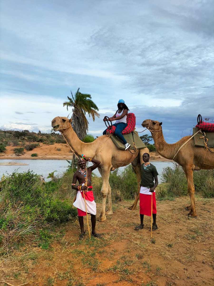 Harriet James tweet media