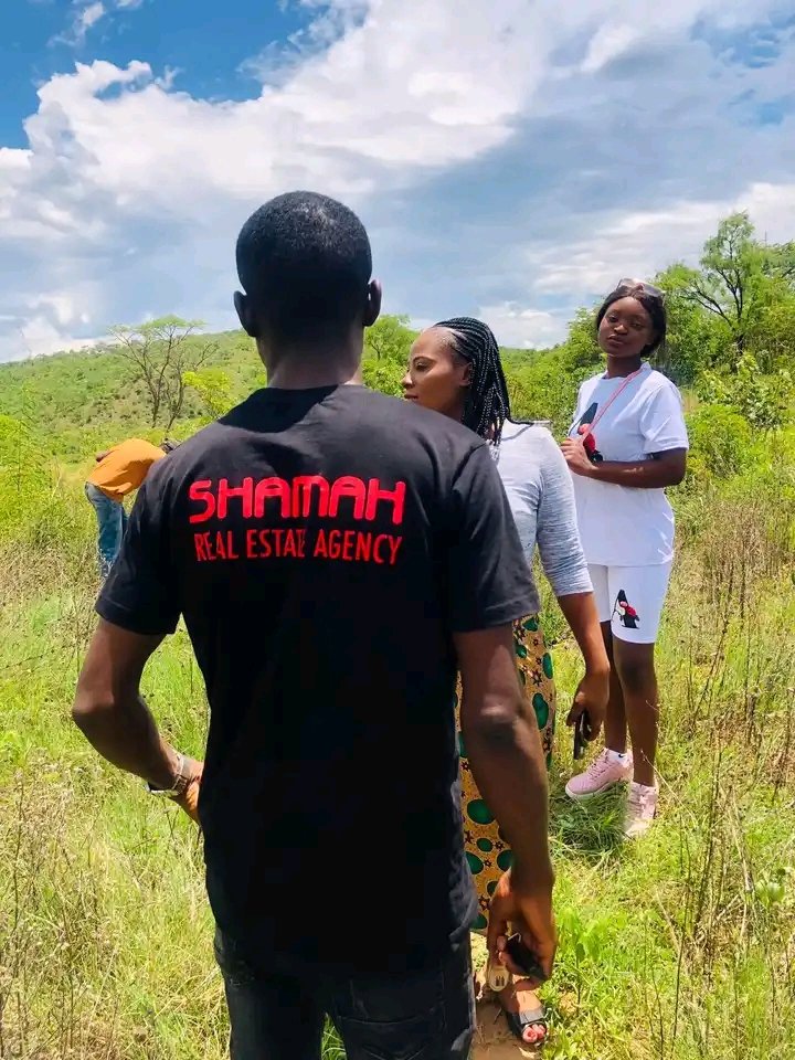irischongo's tweet photo. If it's not #ShamahRealEstateAgency then think twice because it will just end in tears baba.
Purchase affordable plots from a legit company. 
📞 0975717120/0975705555 or visit our office in chalala off Given lubinda Road near choppies at two  sisters complex
#ZedTwitter https://t.co/hfUqRczXDs