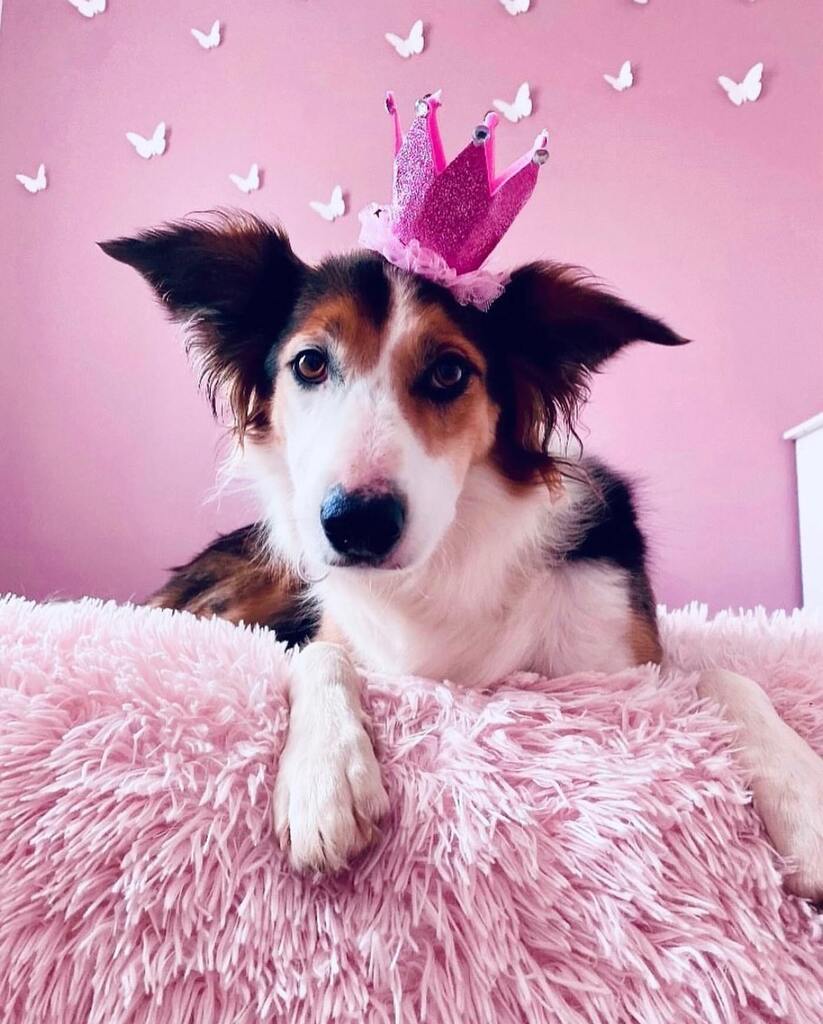 🇫🇷 Bonjour à tous !
.
Toutes nos félicitations à Anne Flores] qui remporte le 475ème Flash challenge.
#igf475

Un grand merci à tous pour votre participation 👍🏻
La gagnante peut nous parler de sa photo, ce qu'elle lui évoque.
.
Résultats : 
A : Anne Flores] ☞ 389 votes - 63%…