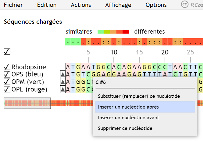 PhCosentino's tweet photo. Nouveauté #geniegen2 : possibilité de modifier/supprimer/insérer un nucléotide ou un résidu d'un simple clic droit. Simuler une mutation n'a jamais été si facile.
https://t.co/wlh5AlFQMD https://t.co/12KcT4Njps