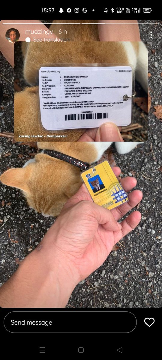ajnaemocelli's tweet photo. Ni style, siap ada semua details. UiTM di kucingku https://t.co/6agxcWopiM
