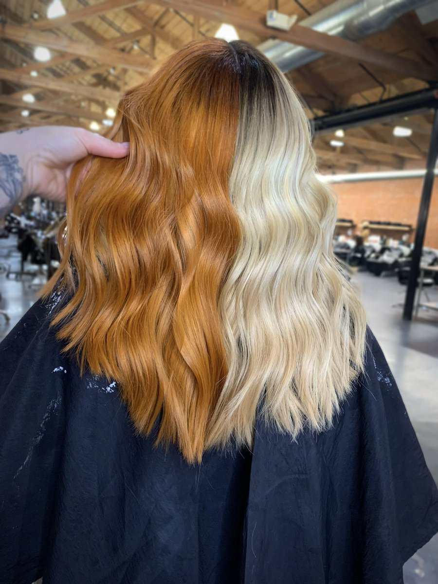 DoctorDal_DVM's tweet photo. Went legit orange on my split and I’m obsessed. We’re giving Hayley Williams 🧡🤍 https://t.co/Fuh7ySNW60