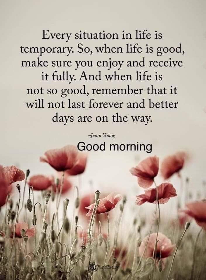 Good Morning all to this Thursday morn, I hope I find you tickety boo and that this weather will be kind and show us some sun ☀️. Have yourselves a terrific day #TakeCare #StaySafe ☔️👍☕️🌹☀️🍁❄️🌫