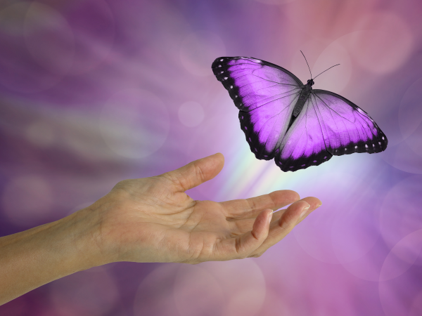 SoulMidwives's tweet photo. Did you know that when Soul Midwives are vigiling in a room with a dying person, we’ll often place a butterfly symbol on the door, just to say ”please enter very gently”. Join us. Train in work that is literally life (and death) changing. - https://t.co/RrjPolYW9j https://t.co/ykXdz1xSmF