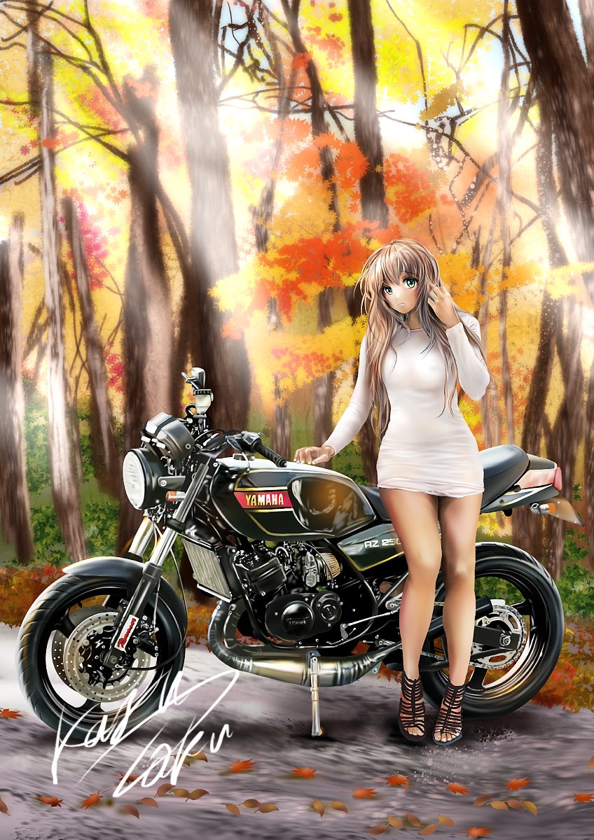 こんばんは～
#いい2気筒の日 
#いい2ストの日 