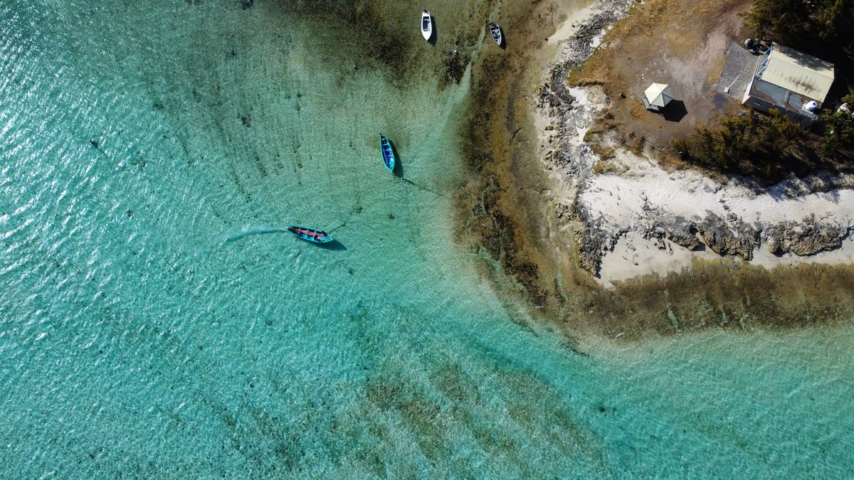 La plage de Gravier à Rodrigues 🏖🇲🇺

Nouvelle vidéo sur Youtube : youtu.be/CUBn4DdWkDY
.
.
.
#mauritius #mauritiusisland #mauritius_explored #mauritiusparadise #mauritiusexplored #rodrigues #rodriguesisland #rodriguesisland #lagon #plage #plages #drone #droneshots #dronepilot