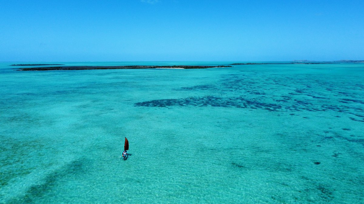 Île aux Chats à Rodrigues 🏖🇲🇺

Nouvelle vidéo sur Youtube : youtu.be/t5g5OkEM560
.
.
.
#mauritius #mauritiusisland #mauritius_explored #mauritiusparadise #mauritiusexplored #rodrigues #rodriguesisland #rodriguesisland #lagon #plage #plages #drone #droneshots #dronepilot
