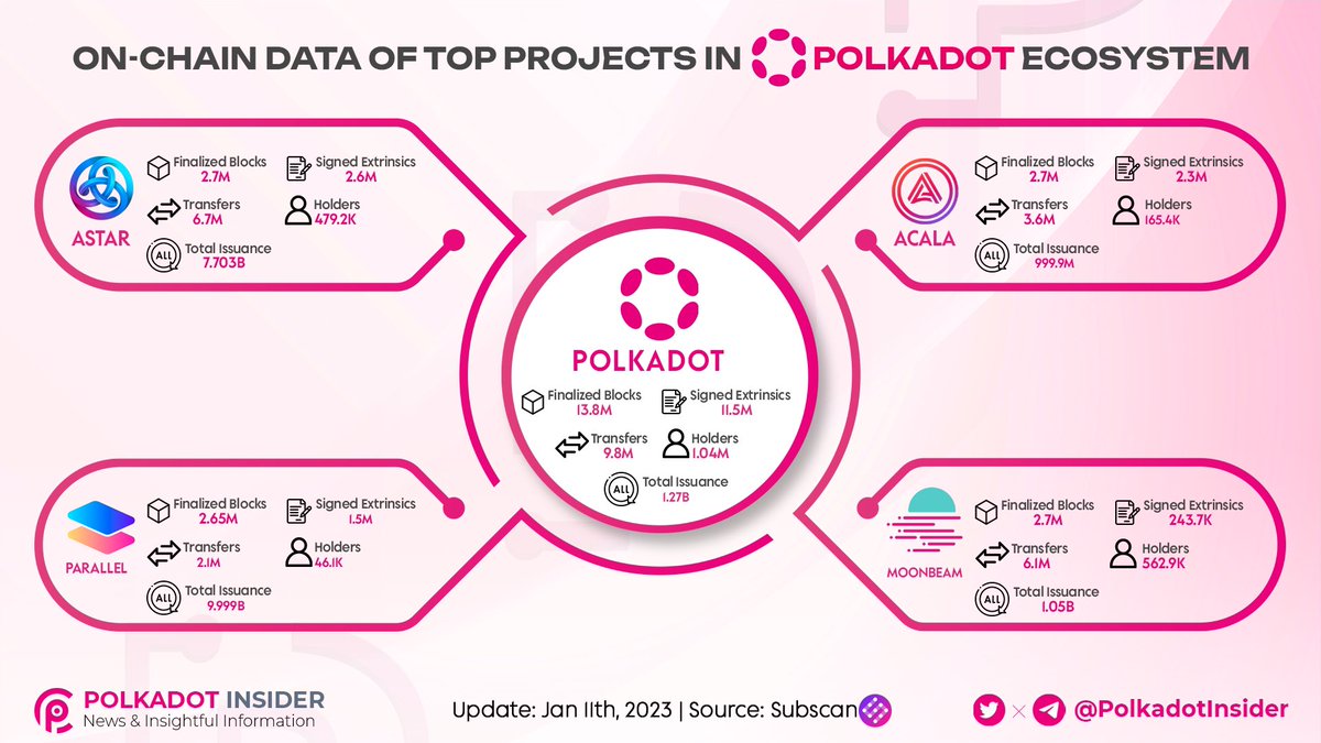 Polkadot Insider 🐂⭕️ tweet media