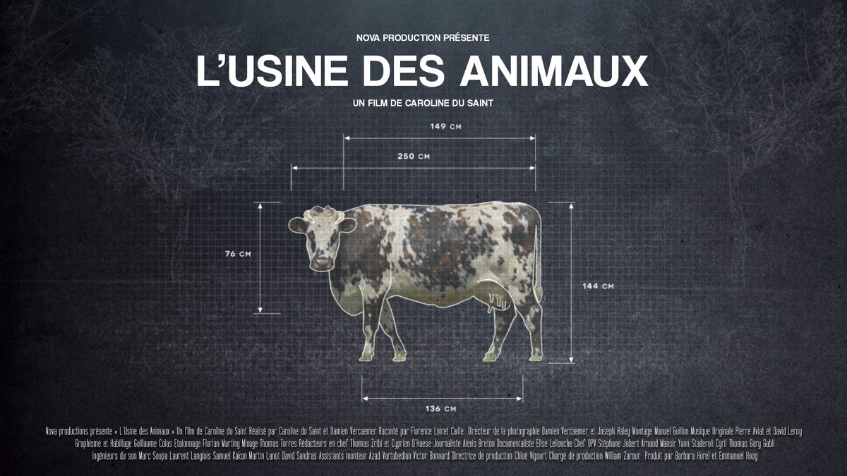 Extrêmement fière : mon documentaire "L'usine des animaux" est sélectionné en compétition officielle <a href="/FIPADOC/">Fipadoc</a> catégorie Impact ! 
Un film <a href="/ARTEfr/">ARTE</a> <a href="/NovaProdTv/">novaproduction</a> co-réalisé avec Damien Vercaemer, montage Manuel Guillon. Merci Anne Grolleron, et <a href="/barbarahurel/">Barbara Hurel</a> !